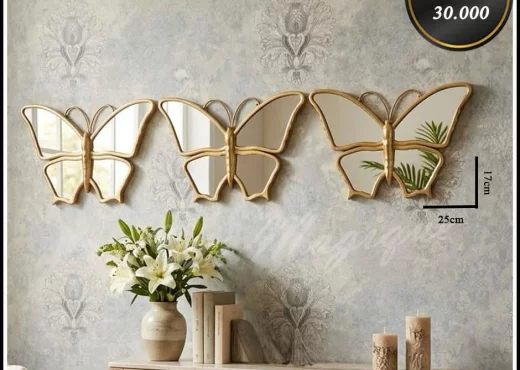 Miroirs Décoratifs